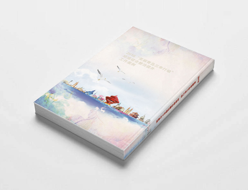 市容办工作案例画册